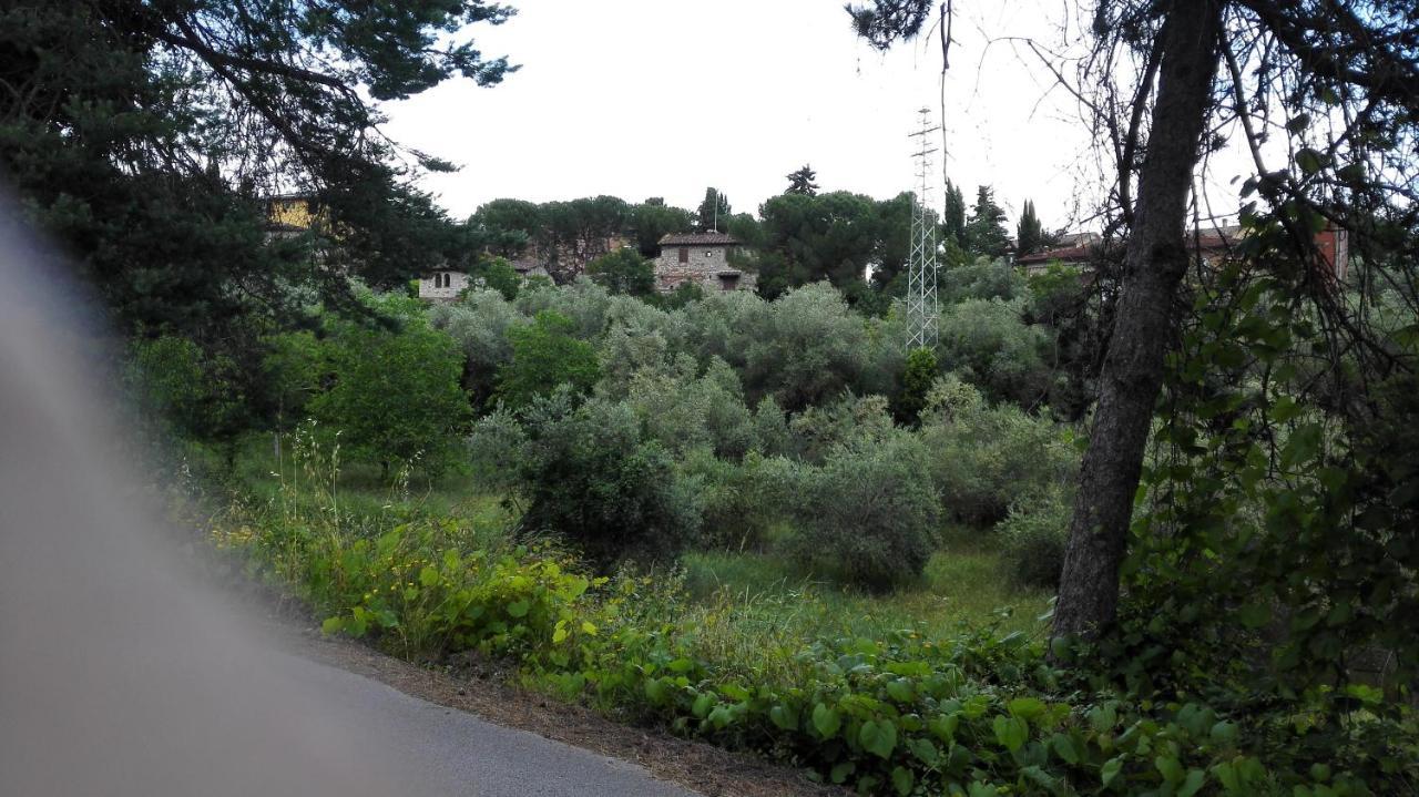 Casa Lilio Apartment Radda in Chianti Ngoại thất bức ảnh