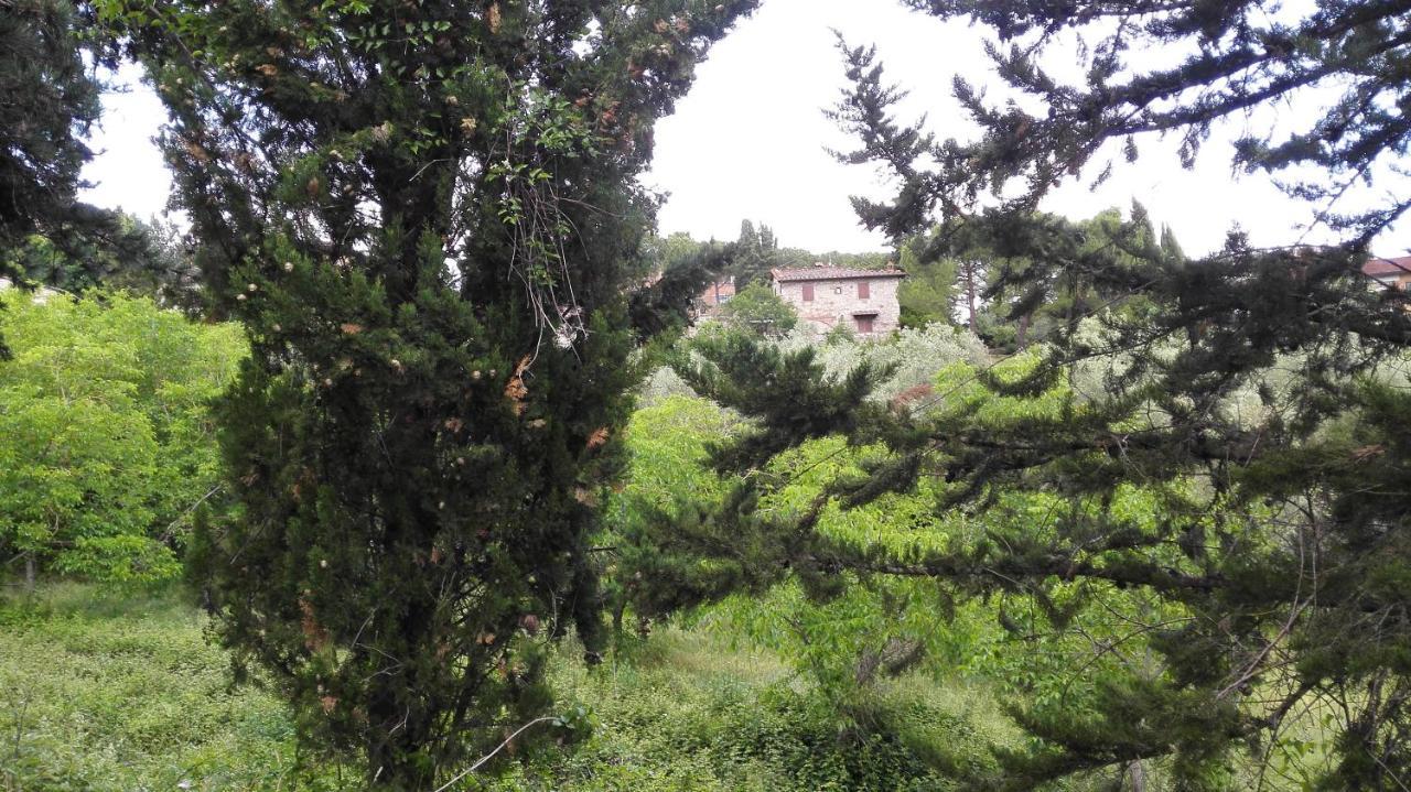 Casa Lilio Apartment Radda in Chianti Ngoại thất bức ảnh
