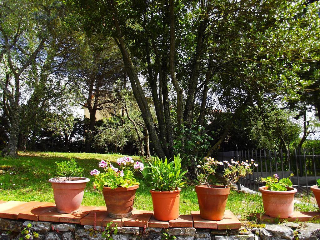 Casa Lilio Apartment Radda in Chianti Ngoại thất bức ảnh